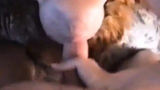 POV INTERRACIAL ASS FUCK DOGGYSTYLE FUCKING LUBE AMATEUR